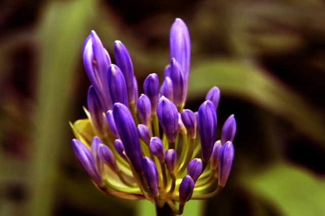 50分+23板+10帽，无缘全明星首发！文班放下豪言，老詹KD要小心了.